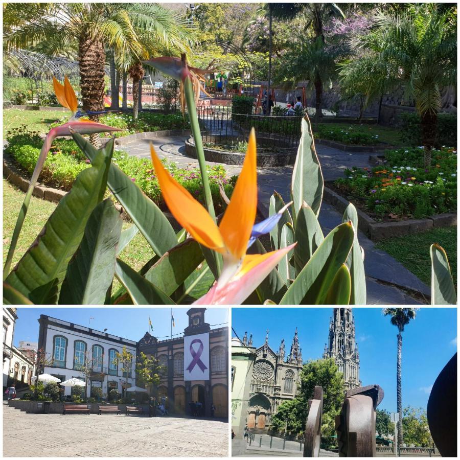 Casa Isabel Centro Historico Villa Arucas Buitenkant foto